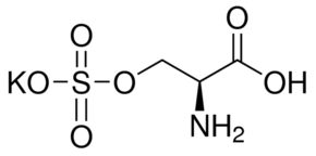 Structure of L-Serine O-sulfate potassium salt CAS 17436-02-1 L-Serine O-sulfate potassium salt CAS 17436-02-1