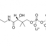 Structurer of Coenzyme A trilithium salt CAS 18439-24-2