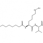 Structure of Pal-K(Boc)VK(Boc)-OH CAS PNA-2732