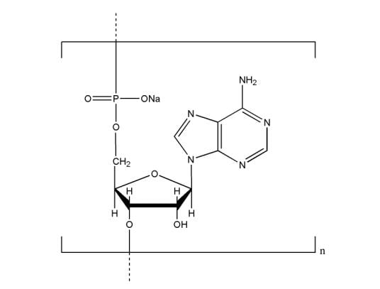 Polyadenosinic acid sodium salt CAS NNA-0009 Structure of Polyadenosinic acid sodium salt CAS NNA 0009 - Polyadenosinic acid sodium salt CAS NNA-0009