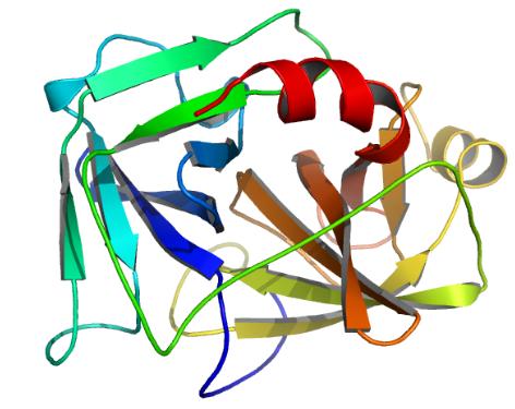 Structure of Recombinant Enterokinase EC 3.4.21.9 CAS 9017 74 8 - Glycopeptidase CAS UENA-0200