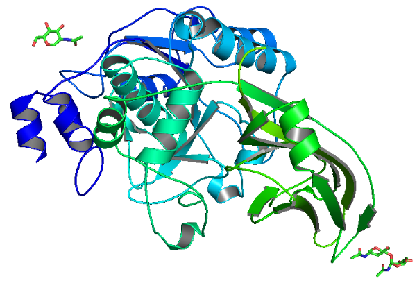 Structure of Recombinant Kex2 Protease EC 3.4.21.61 CAS UENA 0188 - Glycopeptidase CAS UENA-0200