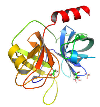 Structure of Recombinant Lysyl Endonuclease EC 3.4.21.50 CAS UENA 0189 - Glycopeptidase CAS UENA-0200