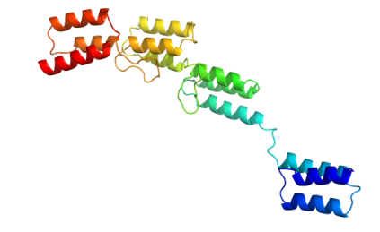 Structure of Recombinant Protein G CAS UENA 0187 - Glycopeptidase CAS UENA-0200