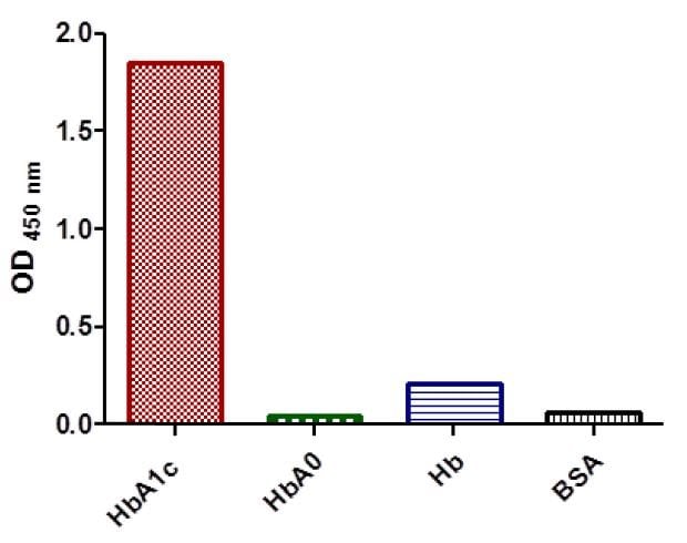 Anti HbA1c Hemoglobin CAS 9008 02 0 A1c antibody in ELISA2 - Anti-HbA1c (Hemoglobin CAS 9008-02-0 A1c) antibody