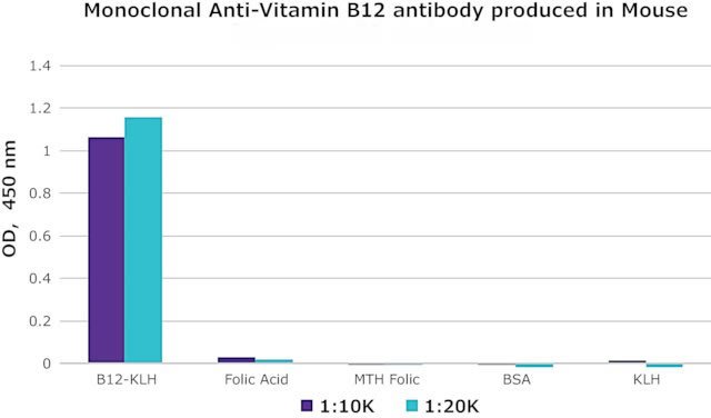 Anti Vitamin B12 Vitamin B12 VB12 antibody - Anti-Vitamin B12 (Vitamin B12, VB12, CAS 68-19-9) antibody