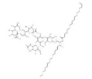 65988 71 8 1 - Gala1,3Galb1,4Glc Ceramide CAS WUNA-0013