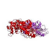 71124 51 1 - Glycopeptidase CAS UENA-0200