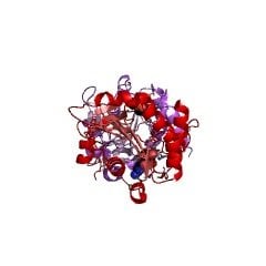 9067 82 7 - Glycopeptidase CAS UENA-0200