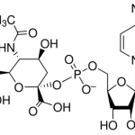 Structure of CMP-Neu5Ac.2Na CAS 3063-71-6(1007117-62-5)