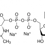 Structure of UDP-GalNAc.2Na CAS 108320-87-2(7277-98-7)
