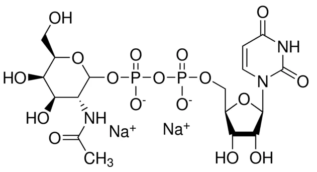 Structure of UDP GalNAc.2Na CAS 108320 87 27277 98 7 - HOME