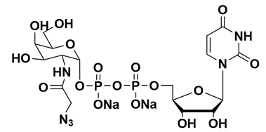 Structure of UDP GalNAz.2Na CAS 653600 61 4 - N1-Methylpseudo-UTP CAS 1428903-59-6