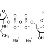Structure of UDP-N-acetylglucosamine CAS 91183-98-1