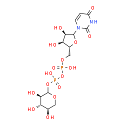 UDP-Xyl.2Na CAS 108320-89-4(3616-06-6) Structure of UDP Xyl.2Na CAS 108320 89 43616 06 6 - UDP-Xyl.2Na CAS 108320-89-4(3616-06-6)