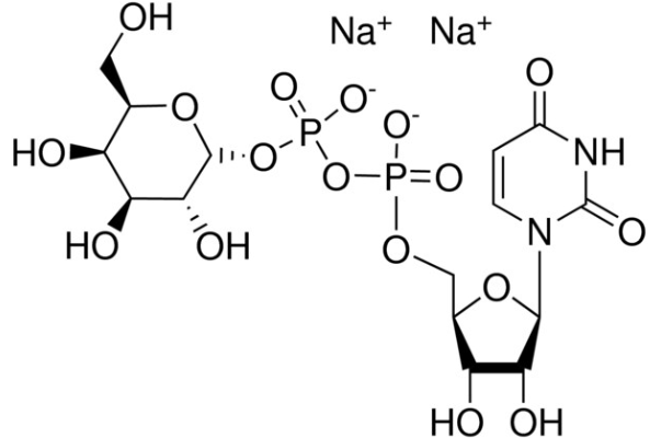 Structure of Uridine 5 diphospho D galactose disodium salt CAS 137868 52 12956 16 3 593x400 - Uridine 5'-diphospho-D-galactose disodium salt CAS 137868-52-1(2956-16-3)