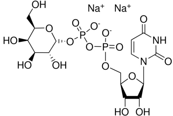 Structure of Uridine 5 diphospho D galactose disodium salt CAS 137868 52 12956 16 3 593x400 - Fluorescein-12-UTP 10mM Sodium solution CAS F12UTP