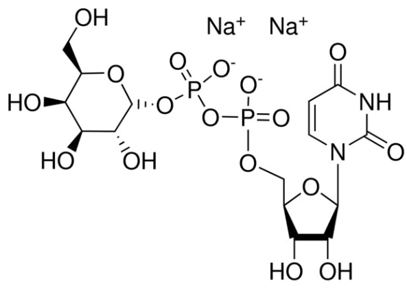 Structure of Uridine 5 diphospho D galactose disodium salt CAS 137868 52 12956 16 3 - HOME