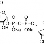 Structure of Uridine 5'-diphospho-glucuronic acid trisodium salt CAS 63700-19-6