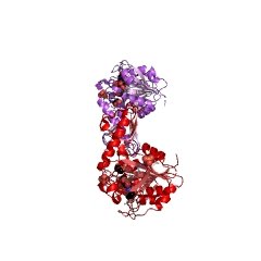 UENA 0192 - Glycopeptidase CAS UENA-0200