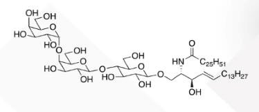 WUNA 0012 1 - Gala1,3Galb1,4Glc Ceramide CAS WUNA-0013