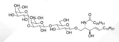 WUNA 0013 1 - Gala1,3Galb1,4Glc Ceramide CAS WUNA-0013