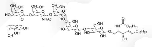 WUNA 0018 1 - Gala1,3Galb1,4Glc Ceramide CAS WUNA-0013