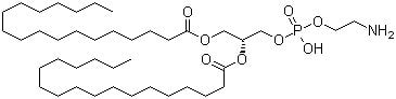 1069 79 0 - 1,2-Distearoyl-sn-glycero-3-phosphoethanolamine CAS 1069-79-0