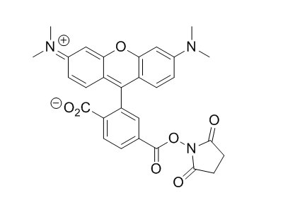 150810 69 8 - 6-Carboxy-tetramethylrhodamine N-succinimidyl ester CAS 150810-69-8
