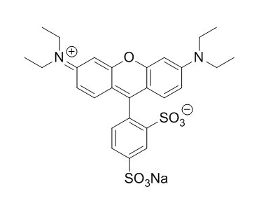 3520 42 1 - Sulforhodamine B sodium salt CAS 3520-42-1