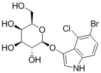7240 90 6 - 5-Bromo-4-chloro-3-indolyl-beta-D-galactopyranoside CAS 7240-90-6