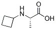 <span class="caps">AANA-0132</span>