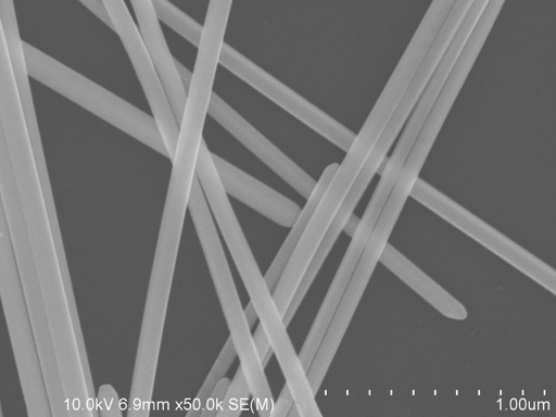 Polyberg Agnw100 1.0um - Silver Nanowires (Agnw) CAS 7440-22-4