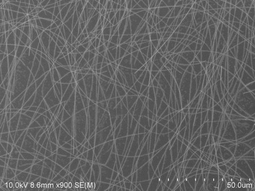 Polyberg Agnw100 50um - Silver Nanowires (Agnw) CAS 7440-22-4