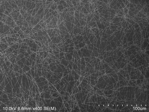 Polyberg Agnw30 100um - Silver Nanowires (Agnw) CAS 7440-22-4