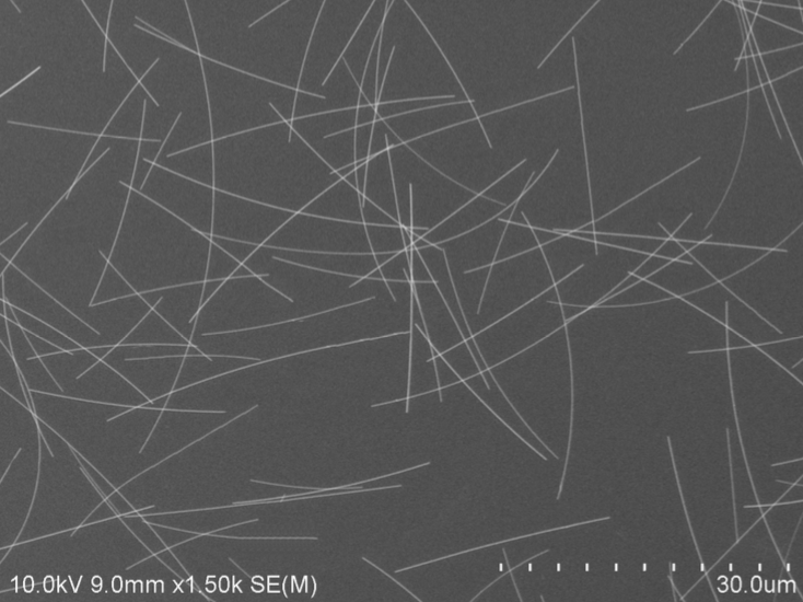 Polyberg Agnw40 30um - Silver Nanowires (Agnw) CAS 7440-22-4