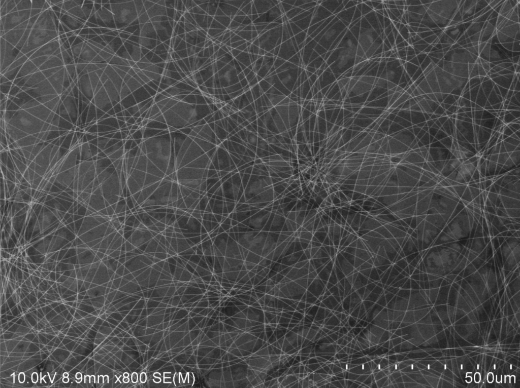 Polyberg Agnw50 50um 1024x766 - Silver Nanowires (Agnw) CAS 7440-22-4