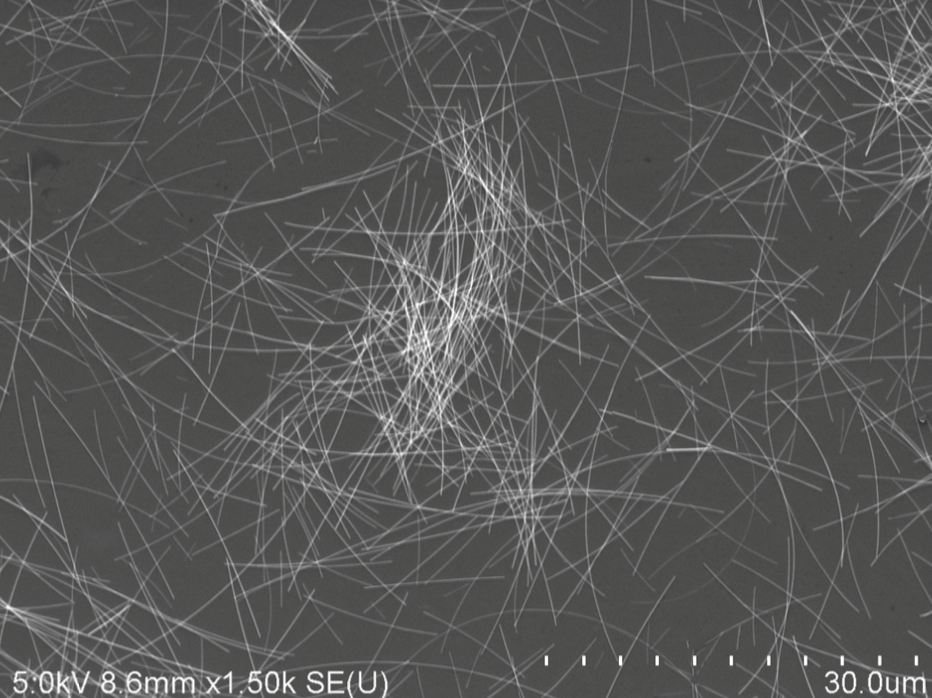 Polyberg Agnw60 30um - Silver Nanowires (Agnw) CAS 7440-22-4