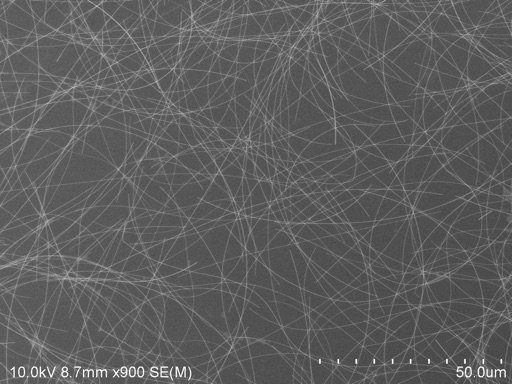 Polyberg Agnw70 50um - Silver Nanowires (Agnw) CAS 7440-22-4