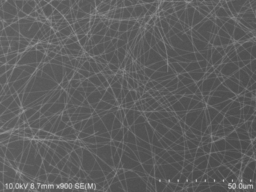 Polyberg Agnw70 50um - Silver Nanowires (Agnw) CAS 7440-22-4