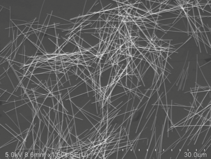 Polyberg Agnw90 30um - Silver Nanowires (Agnw) CAS 7440-22-4