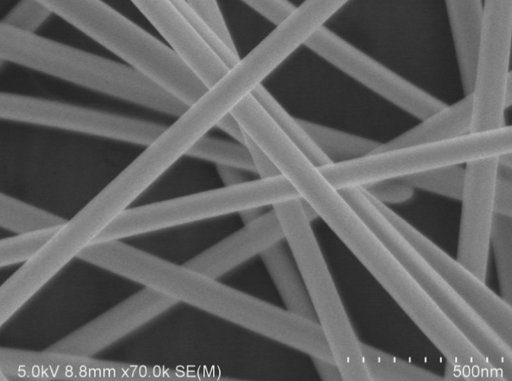 Polyberg Agnw90 500nm - Silver Nanowires (Agnw) CAS 7440-22-4