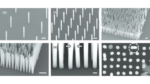 Polyberg Develops and Scales up Silver Nanowire Agnw - Silver Nanowires (Agnw) CAS 7440-22-4