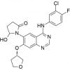 Afatinib Impurity 89 CAS 439081-18-289
