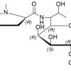 Clindamycin EP Impurity F CAS 27480-30-4