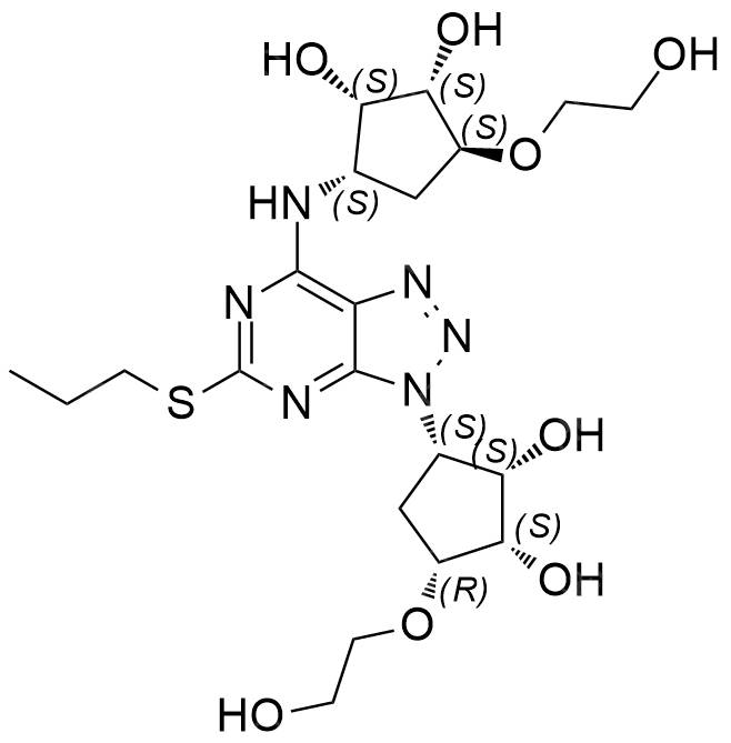 <span class="caps">T004032</span>