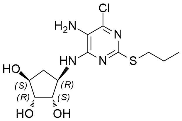 <span class="caps">T004101</span>