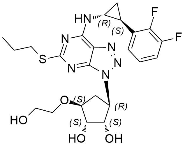 <span class="caps">T004132</span>
