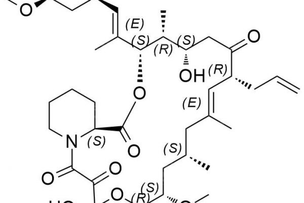 T020011 600x400 - Tacrolimus Impurity 6 CAS 144490-63-1