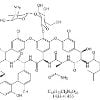 Vancomycin EP impurity A CAS 82198-76-31